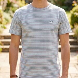 Lost Enterprises Mens Striped Short Sleeve Surf T-Shirt Grey Teal Pink Small